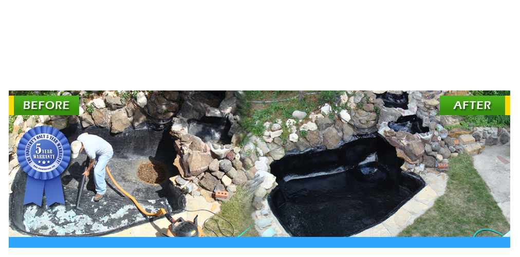 Fish Pond Repair, Pond Leaks Repair Pond Pro 2000