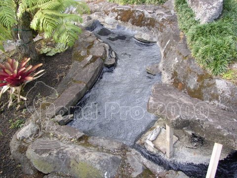 Fish Pond Repair