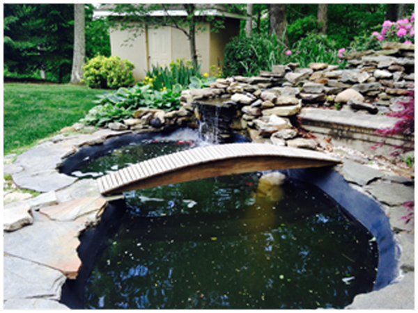 Pond Repair