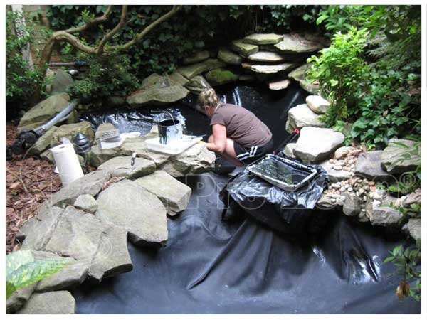 Fish Pond Repair