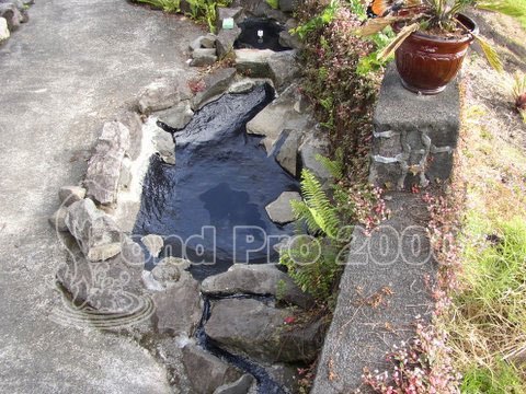 Pond Repair