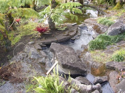 Pond Repair