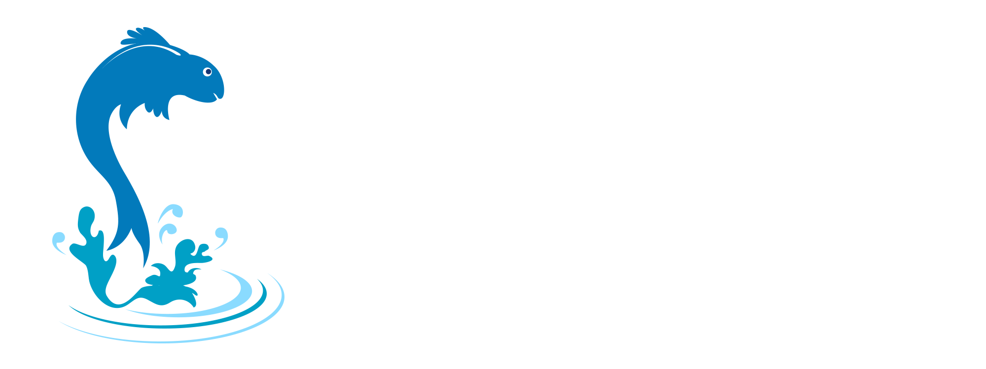 Pond Pro 2000 Blog
