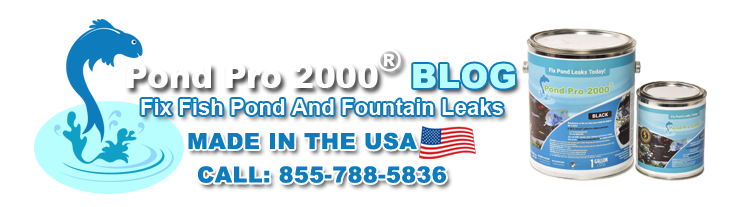 Pond Pro 2000 Blog