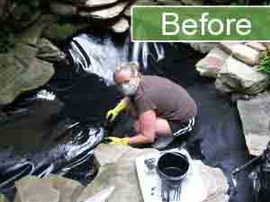 Fish Pond Repair