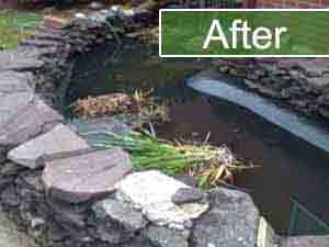Fish Pond Repair