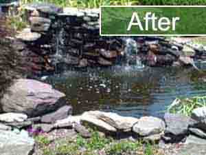 Fish Pond Repair