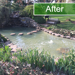 Fish Pond Repair