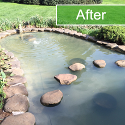 Fish Pond Repair