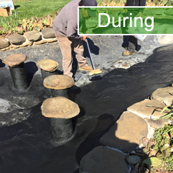 Fish Pond Repair